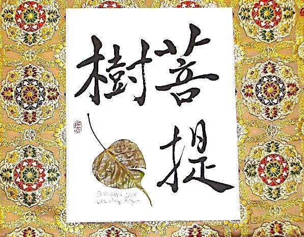 菩提樹
