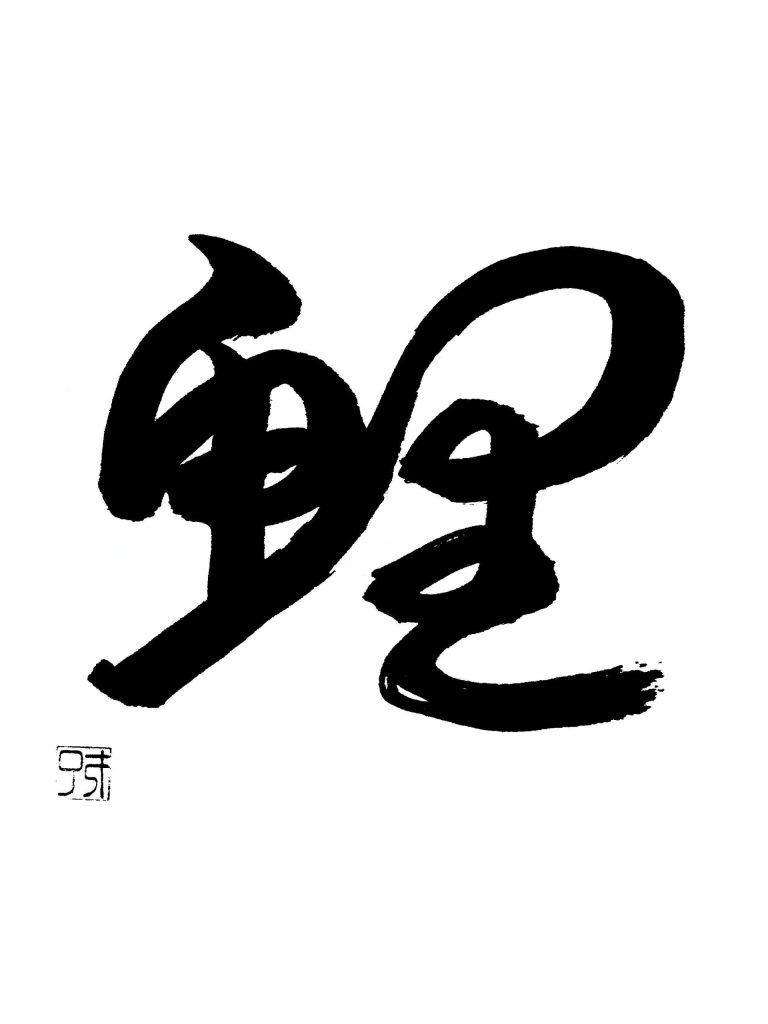 鯉