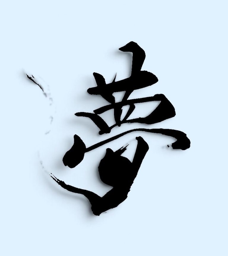 夢でもし逢えたら