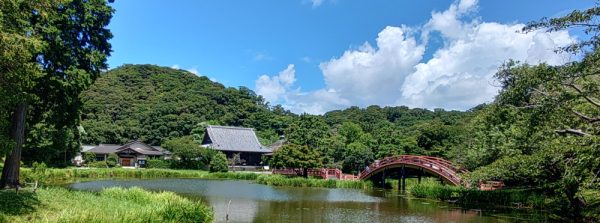 花眩